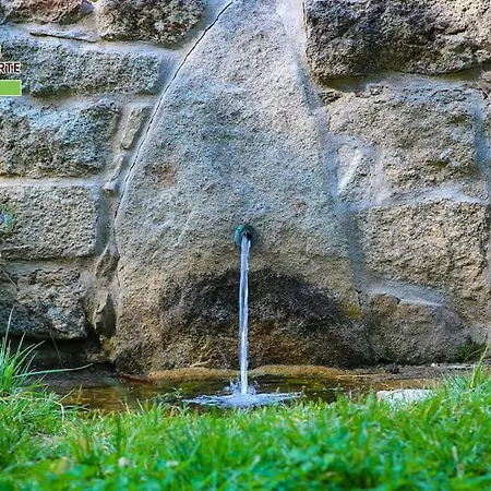 Casa El Mirador De Gredos Norte Apartment Hoyocasero