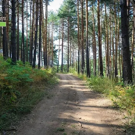 Casa El Mirador De Gredos Norte Hoyocasero